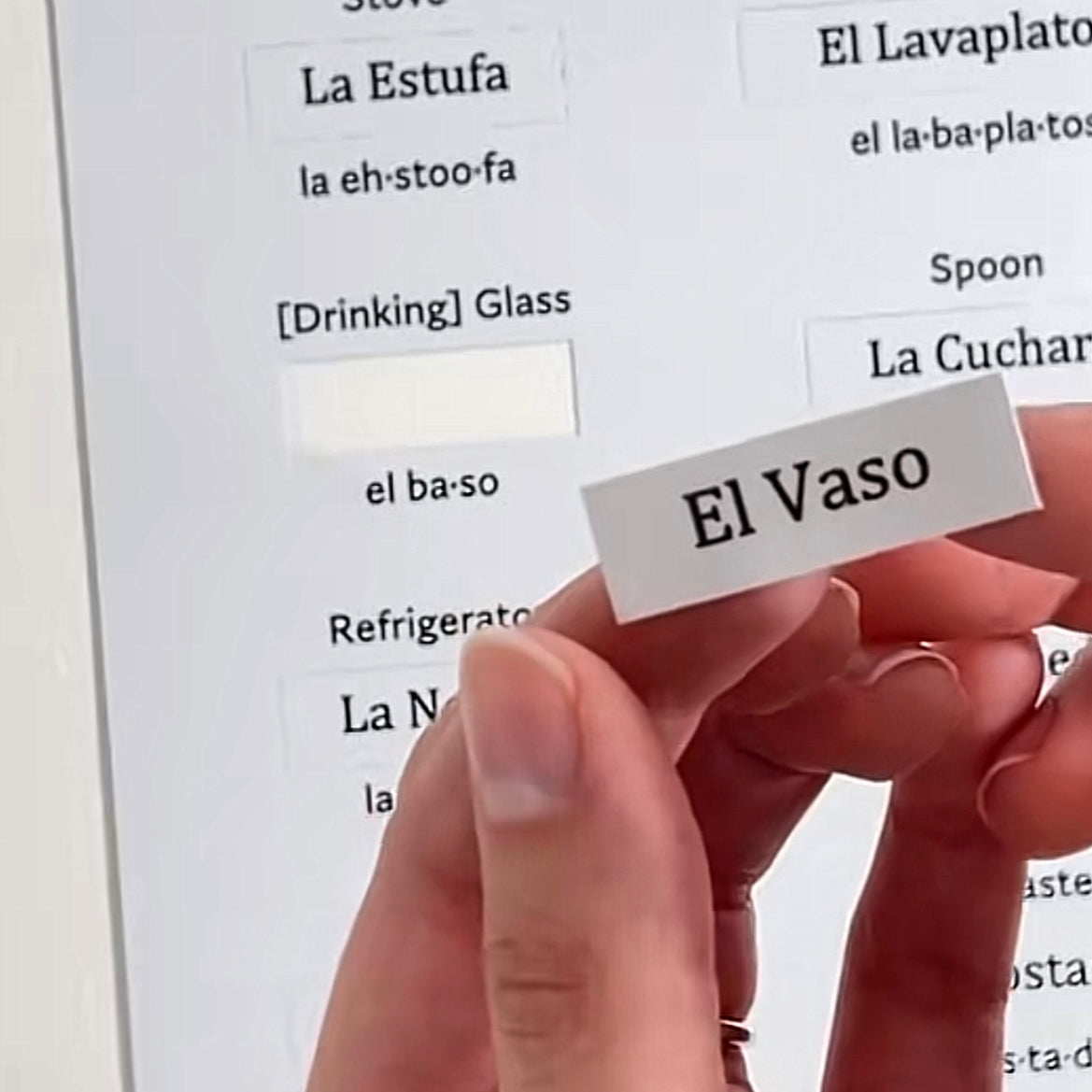 Kitchen Essentials 1